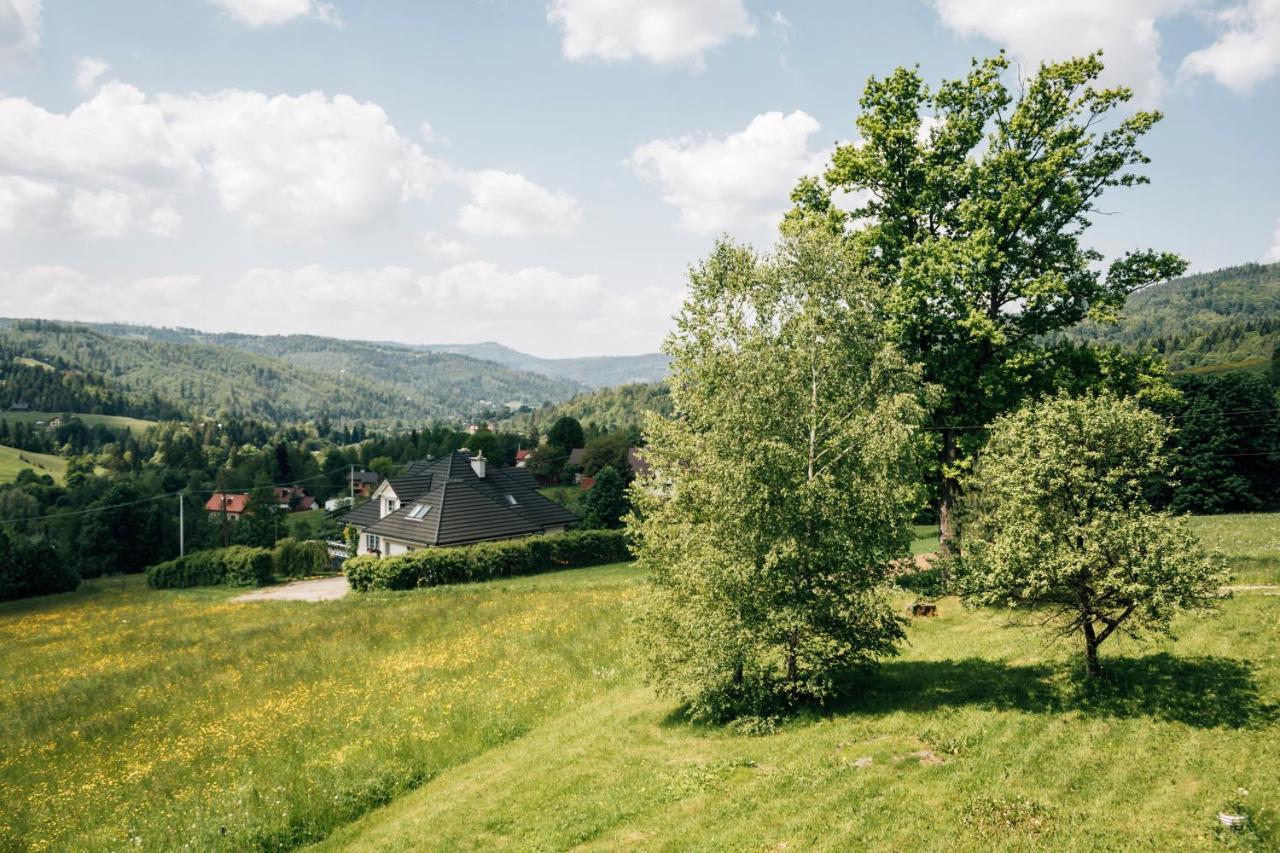 Pokoje Madzia Wisła Zewnętrze zdjęcie